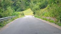 Imagine atasata: DJ763--Sudrigiu-Padis-Aug-2013-026.JPG